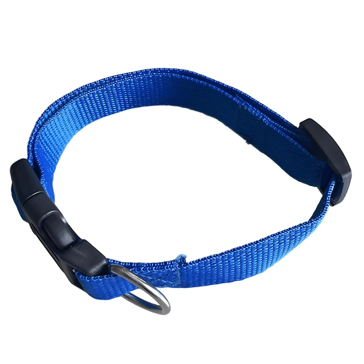 Personalized Dog Collars