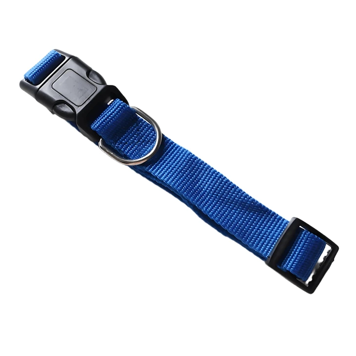 Personalized Dog Collars