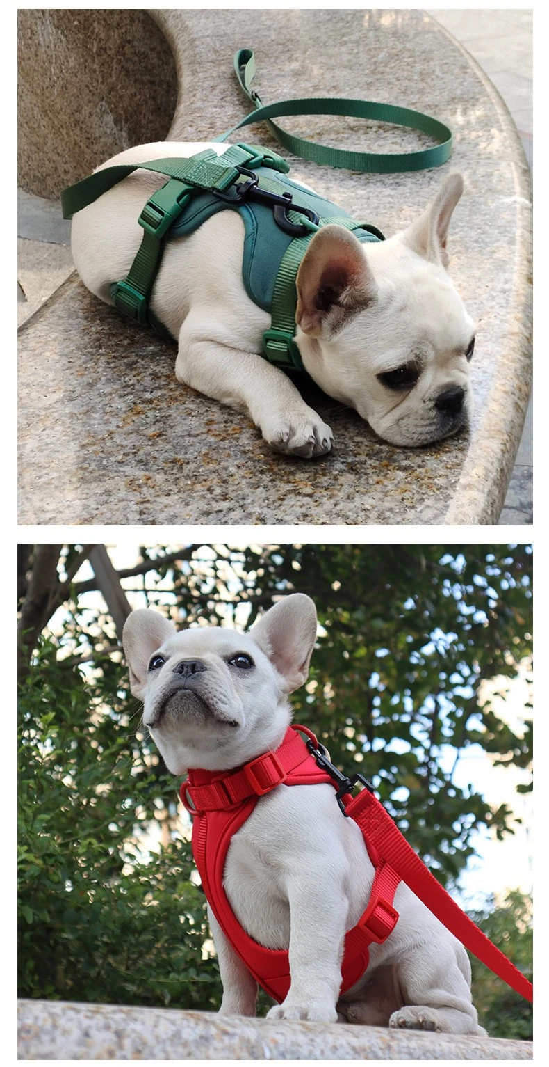 no pull dog harness