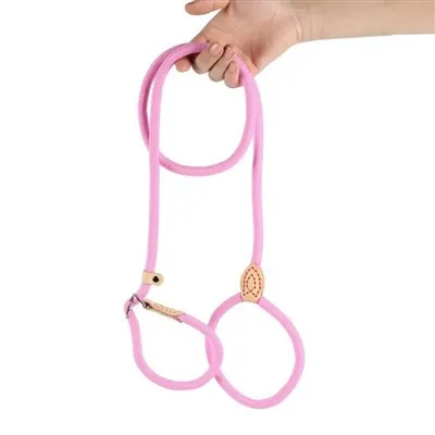Pas NO PULL Slip Leash